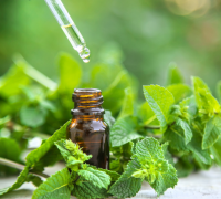 Peppermint Extract